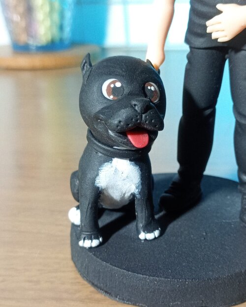 Miniatura Cartoon com Pet Personalizada em Biscuit