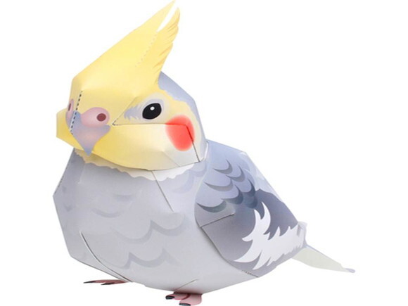Calopsita / Papercraft Digital 3D.