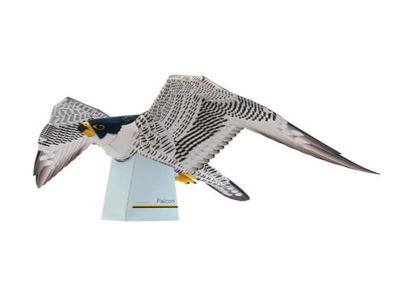 Falcão Decorativo de papel/ Papercraft 3d.
