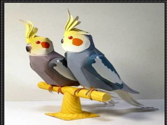 Papercraft 3d de duas cacatuas/ digital.