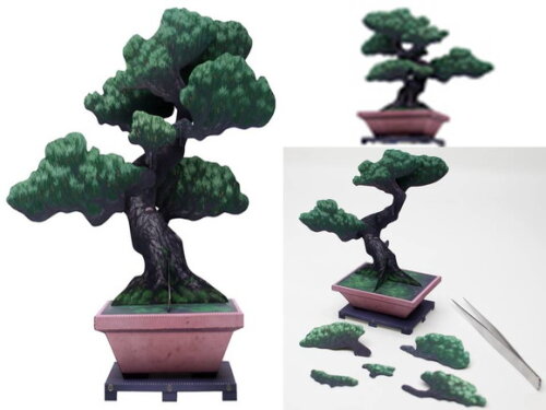 Arquivo de Corte Bonsai em Papel Pinus parviflora.