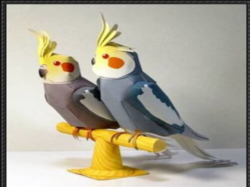Papercraft 3d de duas cacatuas/ digital.