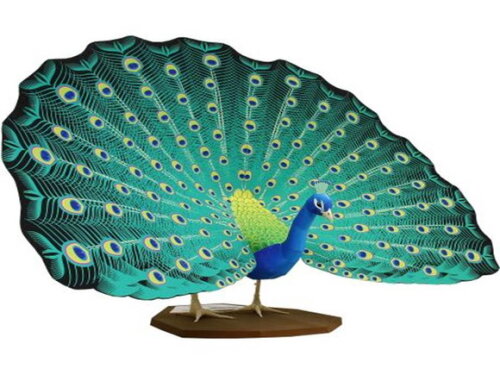 Pavão indiano / Papercraft Digital.
