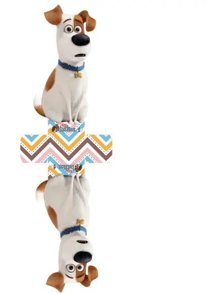 ARQUIVO CAIXA SILHOUETTE PETS LUXO