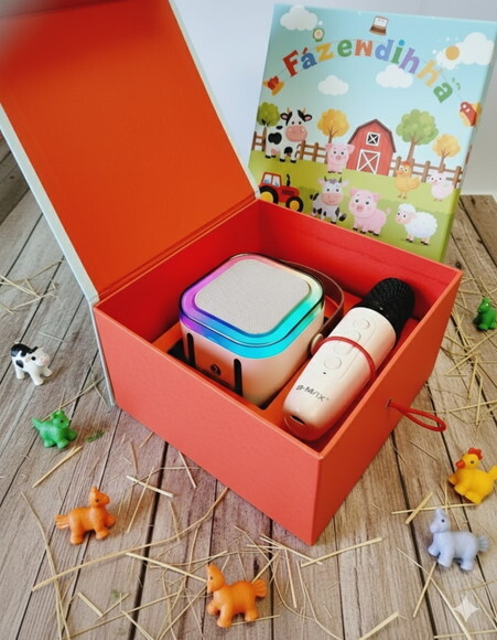 Kit Caixa de Som Karaokê - Lembrancinha Luxo