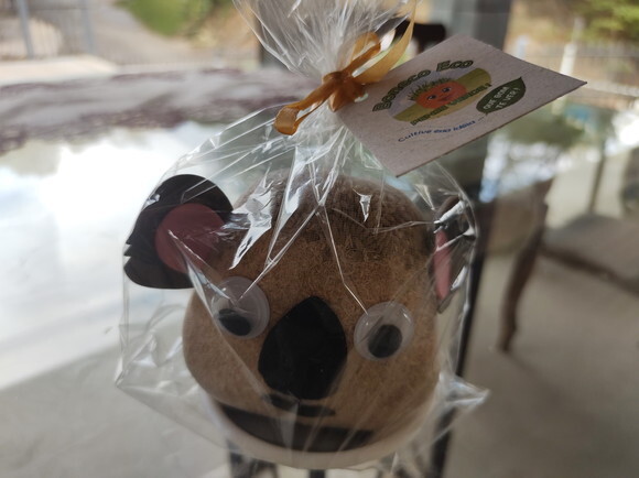 Boneco Ecológico  Cresce o Cabelo