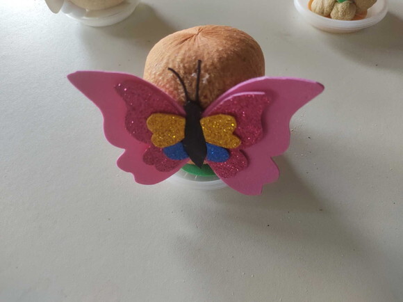 Borboletaeco