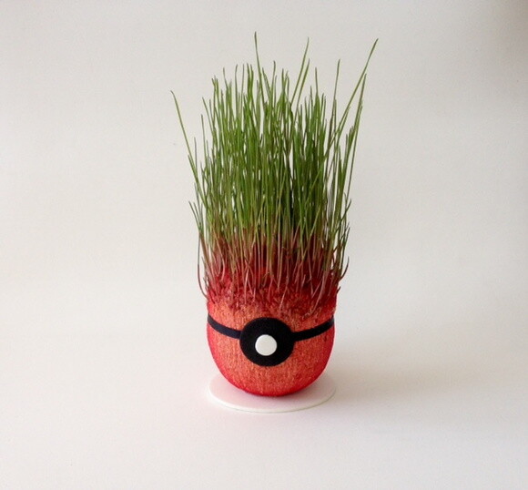 Pokéecobola Ecológica