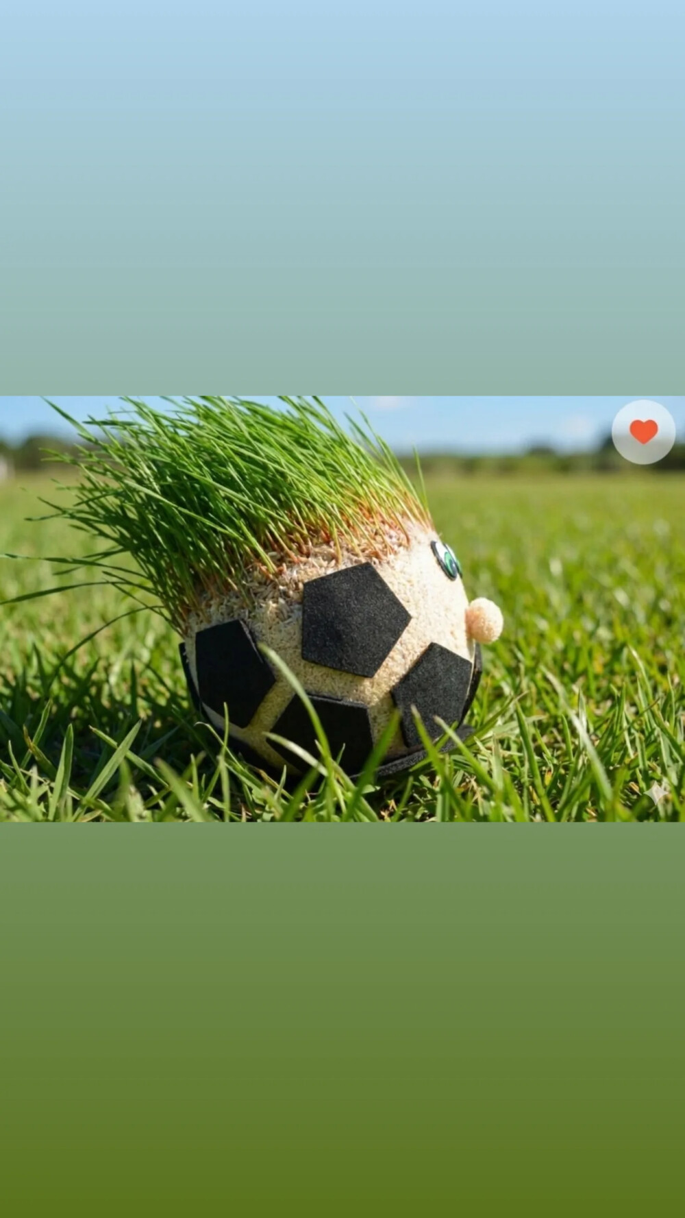 Bola de Futebol Ecológica