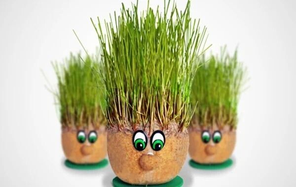Boneco Ecológico!!! cresce Cabelo
