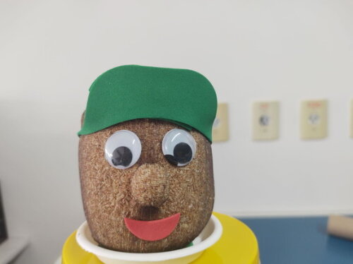 Boneco Ecológico " Cresce o Cabelo"