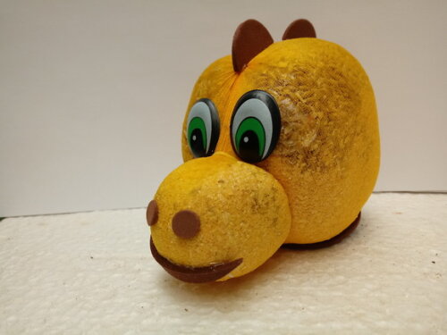 Dinoeco o Dragoeco