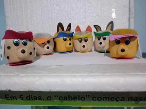 Gato & Cachorro