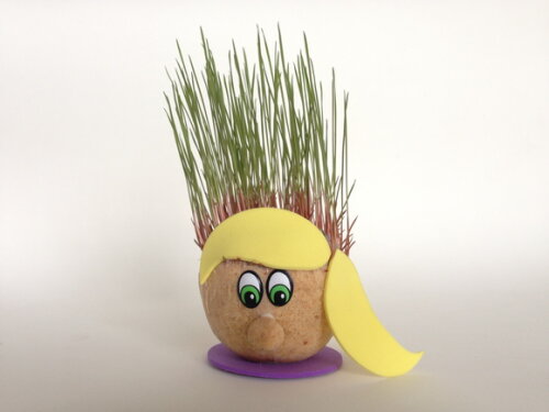 Rapunzel Lembrancinha Ecológica