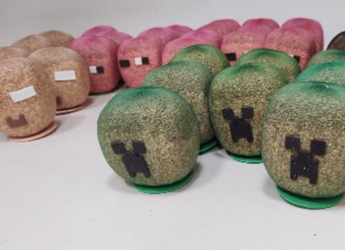 Minecraft  Ecológico Cresce Graminha