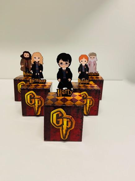 Caixa Harry Potter