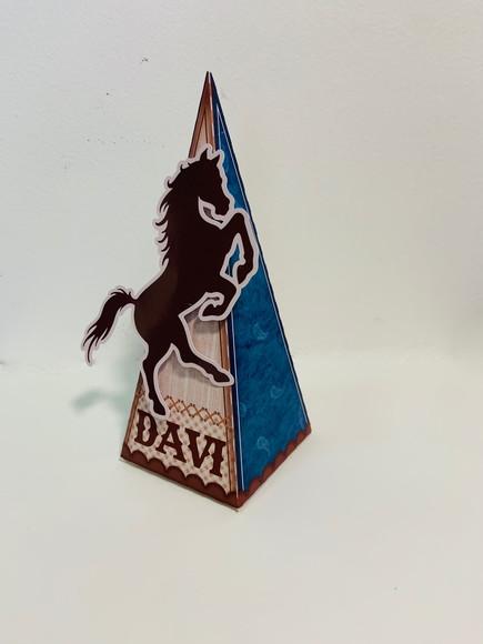 Caixa Triangular Cavalo