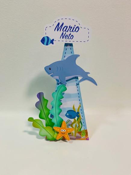 Caixa Triangular Fundo do Mar