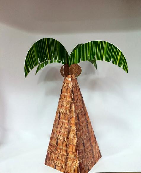 Cone Coqueiro