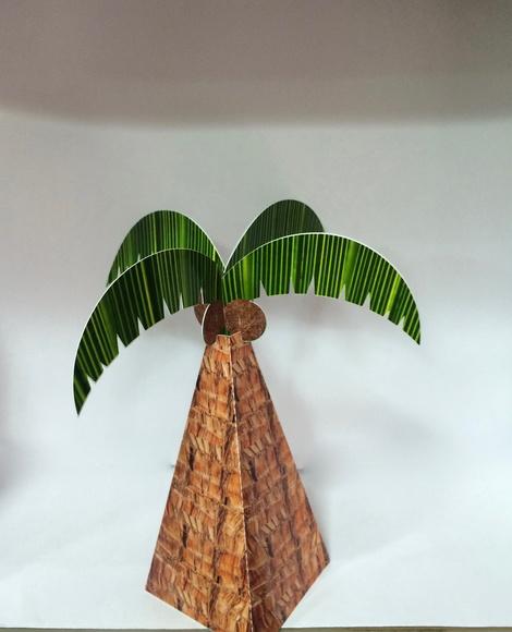 Cone Coqueiro