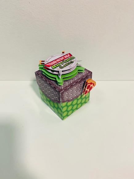 Cubo Com Tampa Tartarugas Ninja