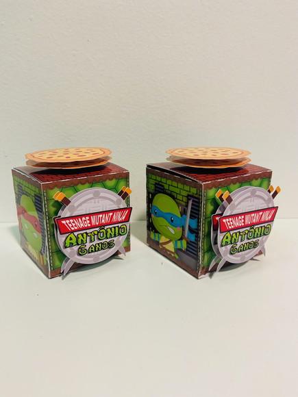 Cubo Tartarugas Ninja