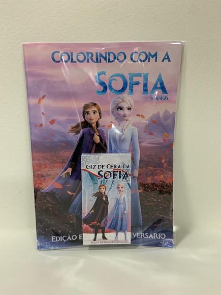 Kit Colorir Frozen 2