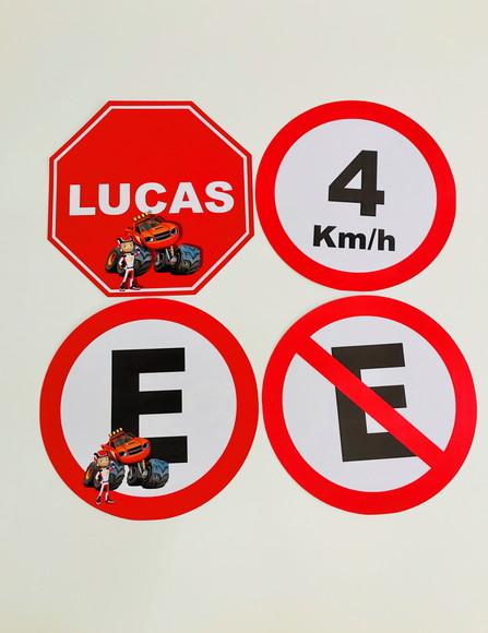 Placas de Trânsito 25cm