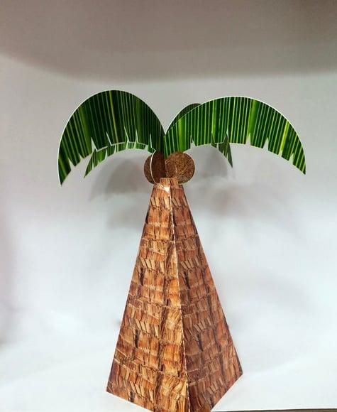 Cone Coqueiro