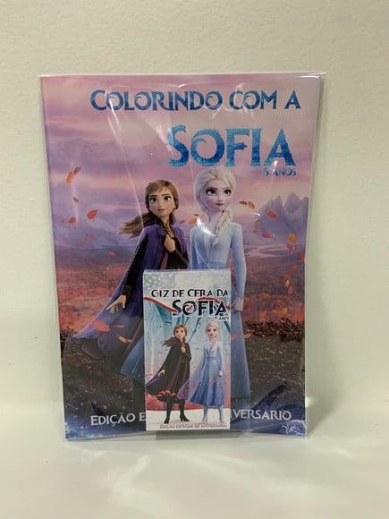Kit Colorir Frozen 2