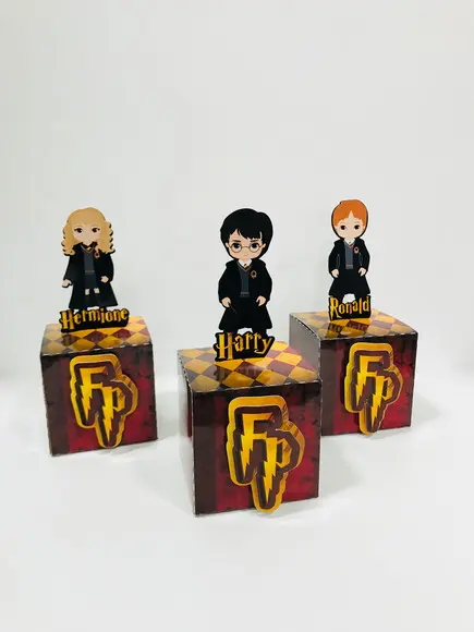 Caixa Harry Potter