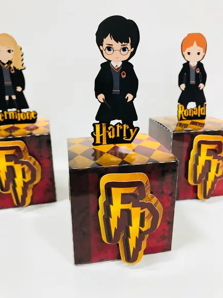 Caixa Harry Potter