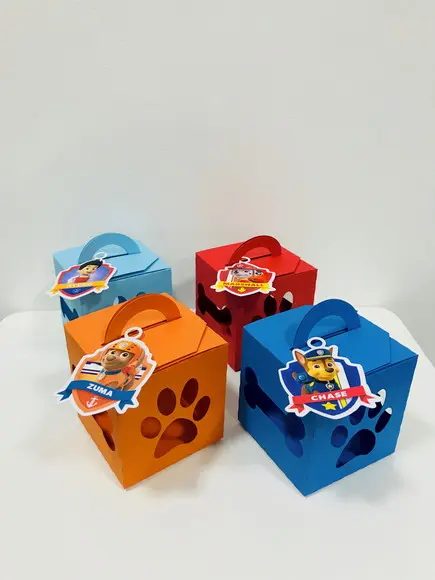 Caixa Patrulha Canina - Vazada