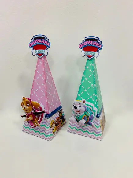 Caixa Triangular Patrulha Canina G