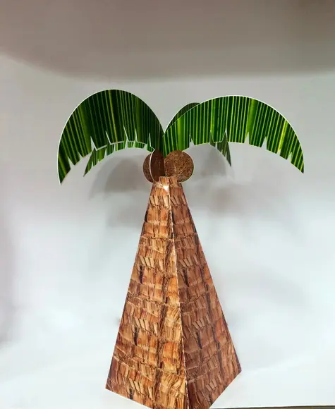 Cone Coqueiro