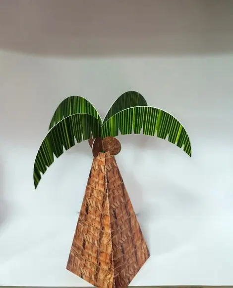 Cone Coqueiro