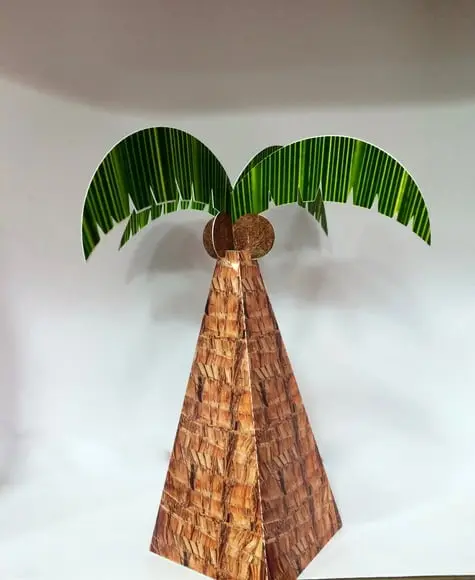 Cone Coqueiro