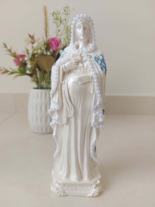 Nossa Senhora Grávida 20cm flor azul gesso