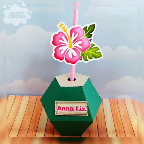 Lembrancinha Caixa Coco Moana Baby