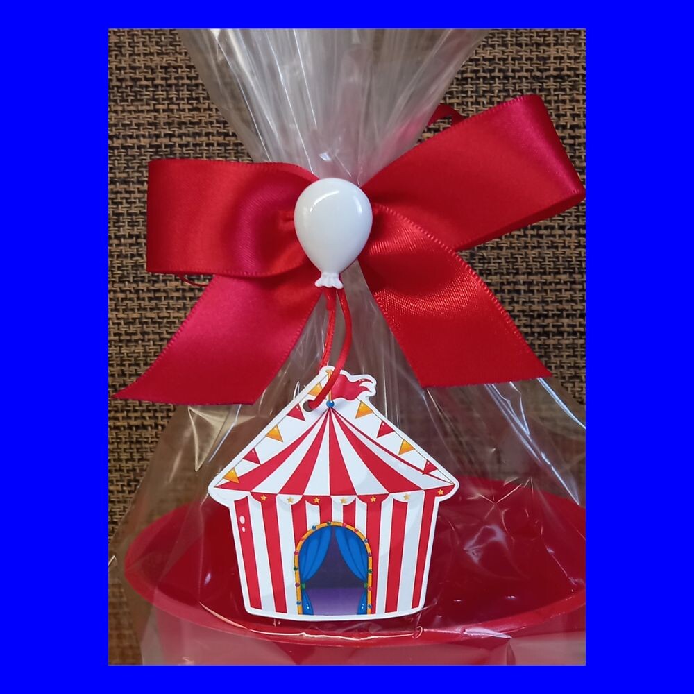 Laço cetim tag personalizada lembrança de aniversário circo
