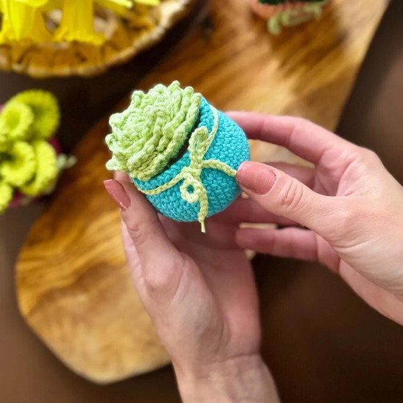 Receita Suculenta Amigurumi