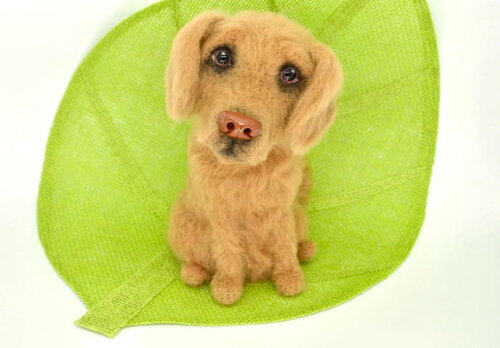 Receita Cachorro Golden Amigurumi