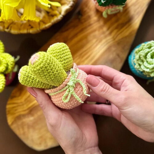 Receita Cacto de Amendoin Amigurumi
