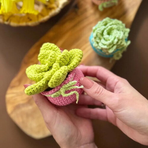 Receita Suculenta Amigurumi