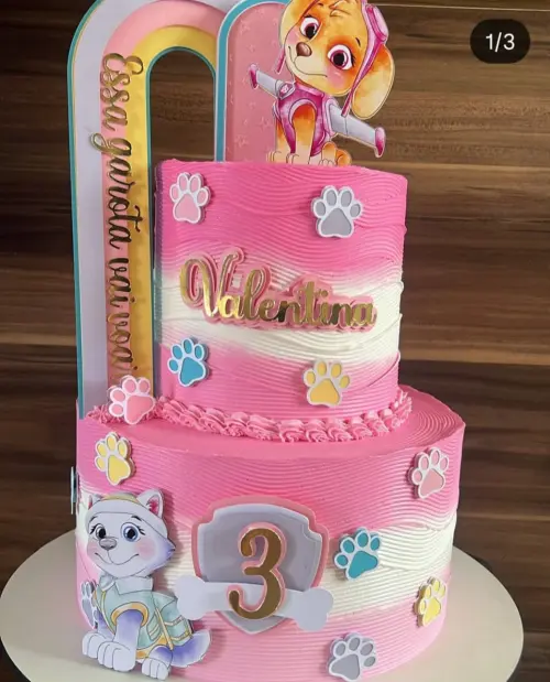 Topo de Bolo Patrulha Canina Valentina - Studio