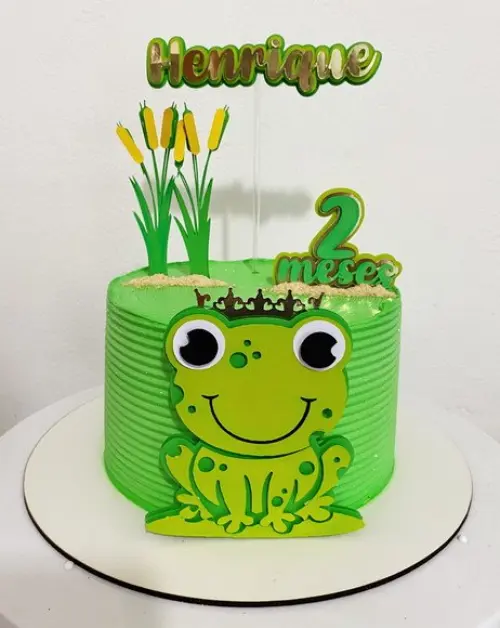 Topo de Bolo Sapinho Henrique - Studio