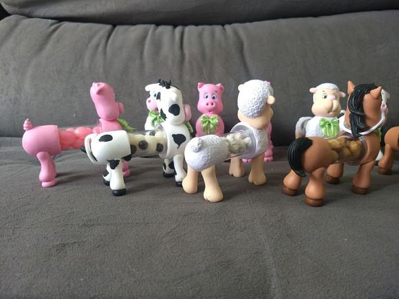 Animais Fazenda Tubet