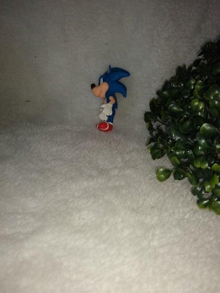 Aplique Do Sonic