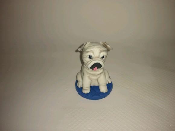 Cachorrinho