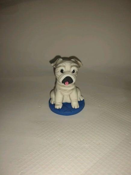 Cachorrinho